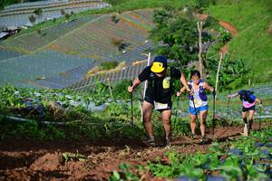 BIB: 
                            <button type="button" onclick="openModal(13381651)" class="btn btn-primary btn-sm float-right btn-popup" data-toggle="modal" data-target=".modal-high-quality">
                        <i class="fas fa-shopping-cart"></i> Add to Cart
                    </button>
                                            <button type="button" onclick="isThisMe(13381651, true)" class="btn btn-success btn-sm float-right btn-popup btn-isme hidden" data-toggle="tooltip" data-placement="bottom" title="นี่คือรูปของคุณใช่ไหม คลิกที่นี่เพื่อเอาเข้าอัลบั้ม">
                        <i class="fas fa-plus"></i> Add to album
                    </button>
                    <button type="button" onclick="isThisMe(13381651, false)" class="btn btn-warning btn-sm float-right btn-popup btn-isnotme hidden">
                        <i class="fas fa-ban"></i> Remove from album
                    </button>